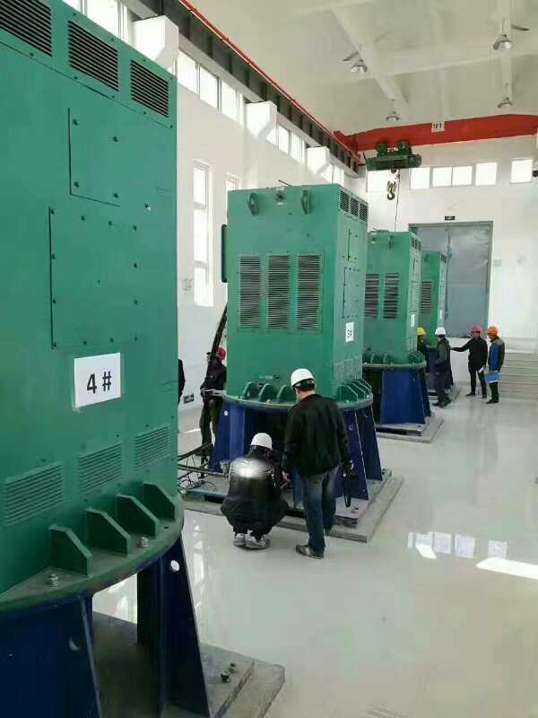 大茂镇某污水处理厂使用我厂的立式高压电机安装现场